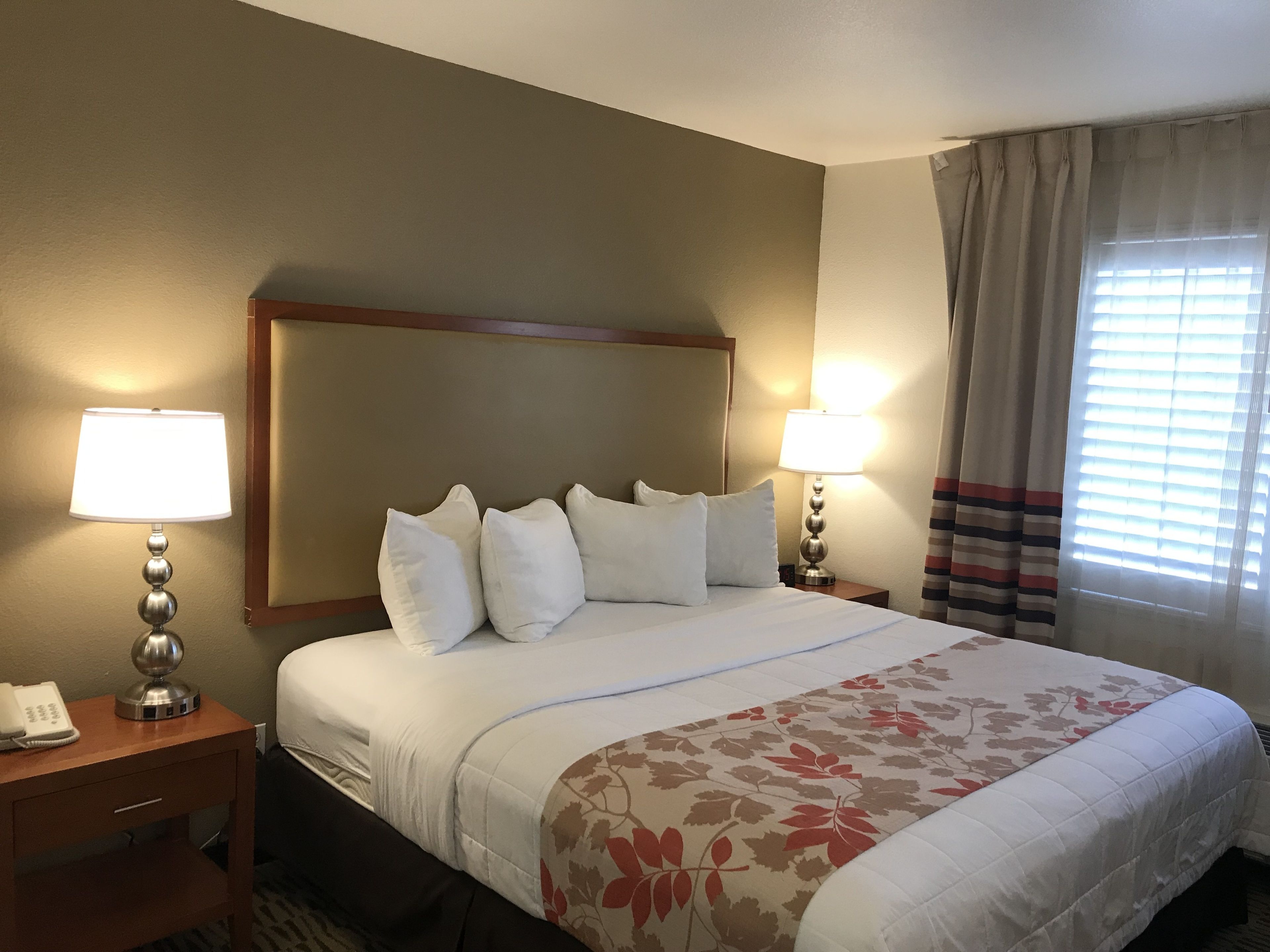 premium bedding, pillow-top beds, desk, blackout curtains