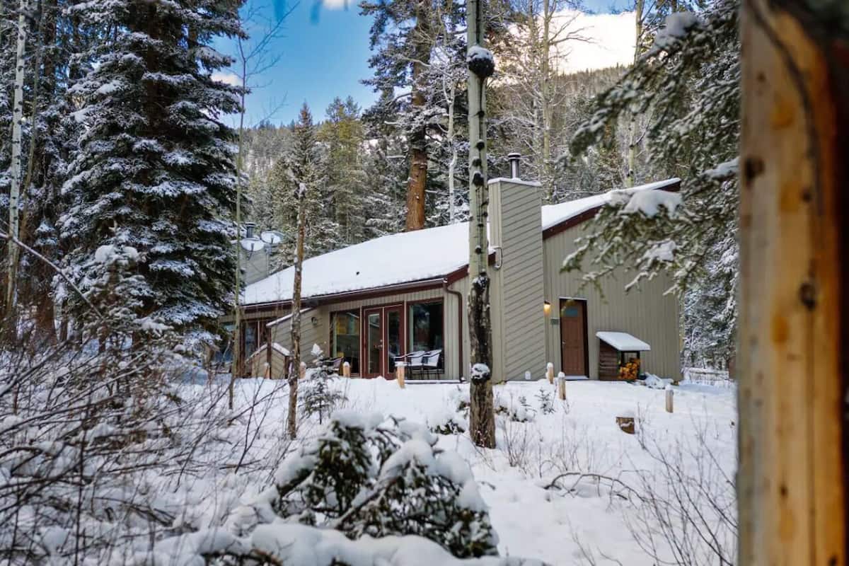 Une cabane dont le toit est recouvert de neige, entourée de grands arbres à feuilles persistantes.
