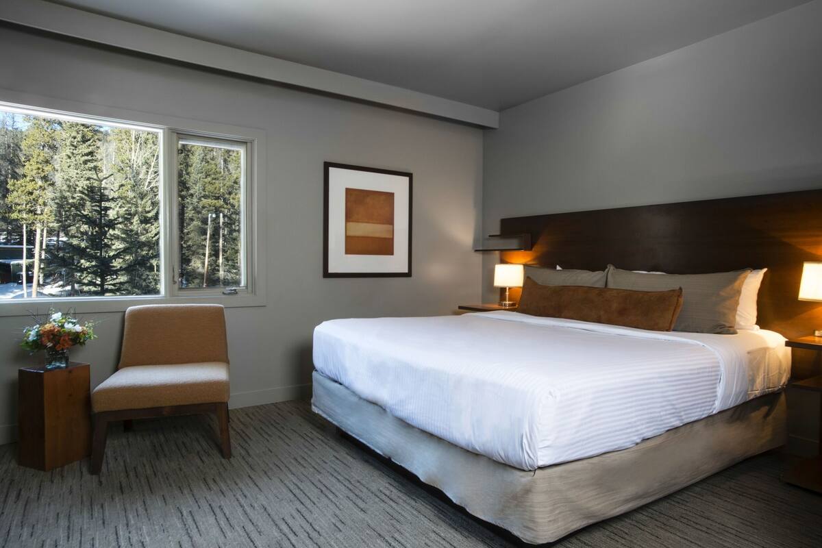 Une chambre d’hôtel avec un grand lit, une chaise, une table de chevet, une lampe, un tableau encadré au mur et une fenêtre donnant sur des arbres.