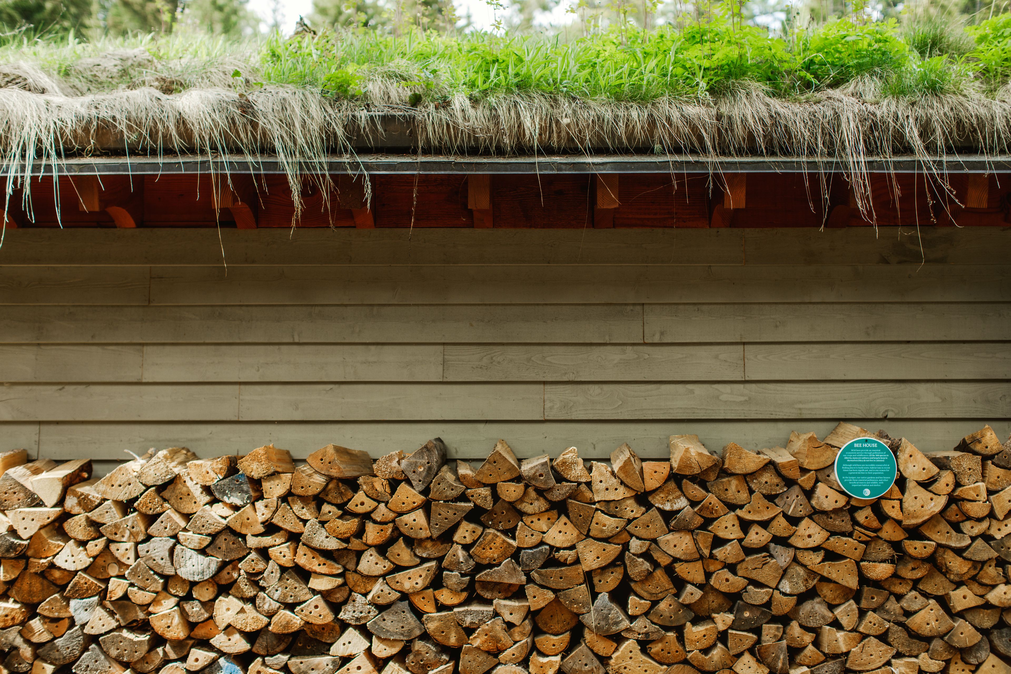 Foto - The Juniper Hotel & Bistro