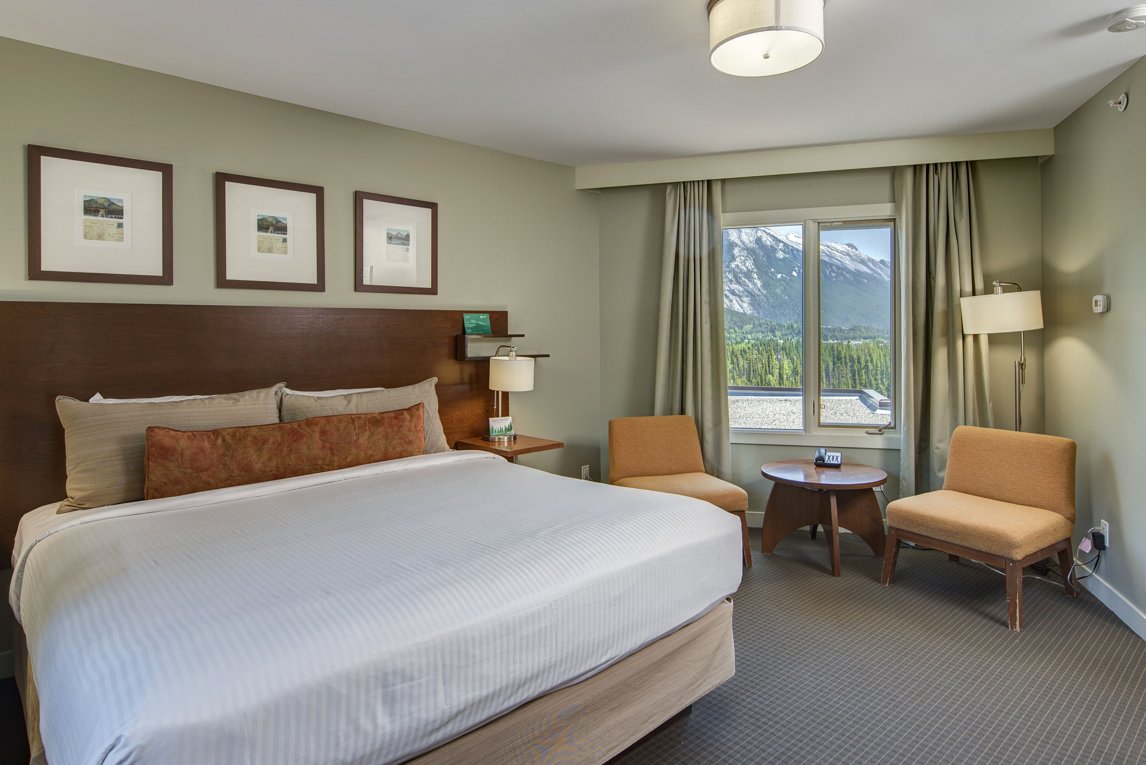 Panoramic Suite | Premium bedding, pillowtop beds, blackout drapes, iron/ironing board