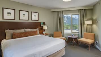 Panoramic Suite | Premium bedding, pillowtop beds, blackout drapes, iron/ironing board