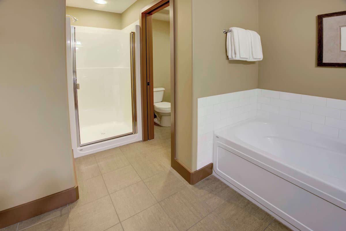 A bathroom with a shower, toilet, and bathtub.