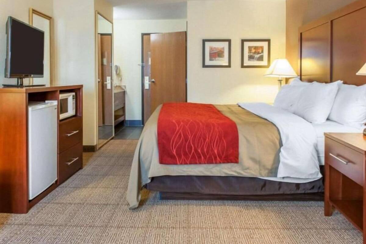 A hotel room with a bed, a TV, a mini-fridge, a desk, and a lamp.