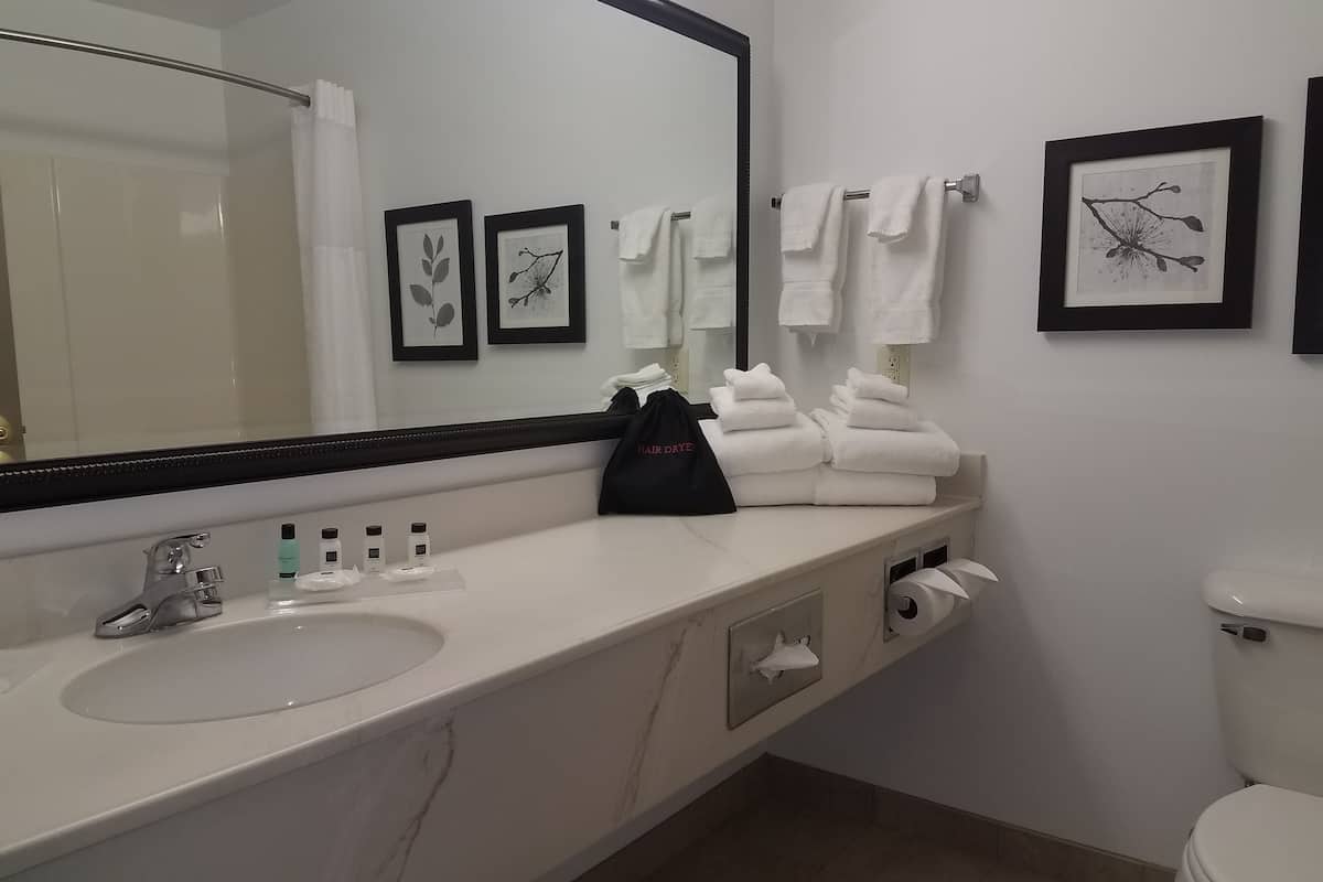 combined shower/bathtub, free toiletries, hair dryer, towels
