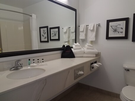Country Inn Suites by Radisson, Indianapolis Airport South, IN - Image 7