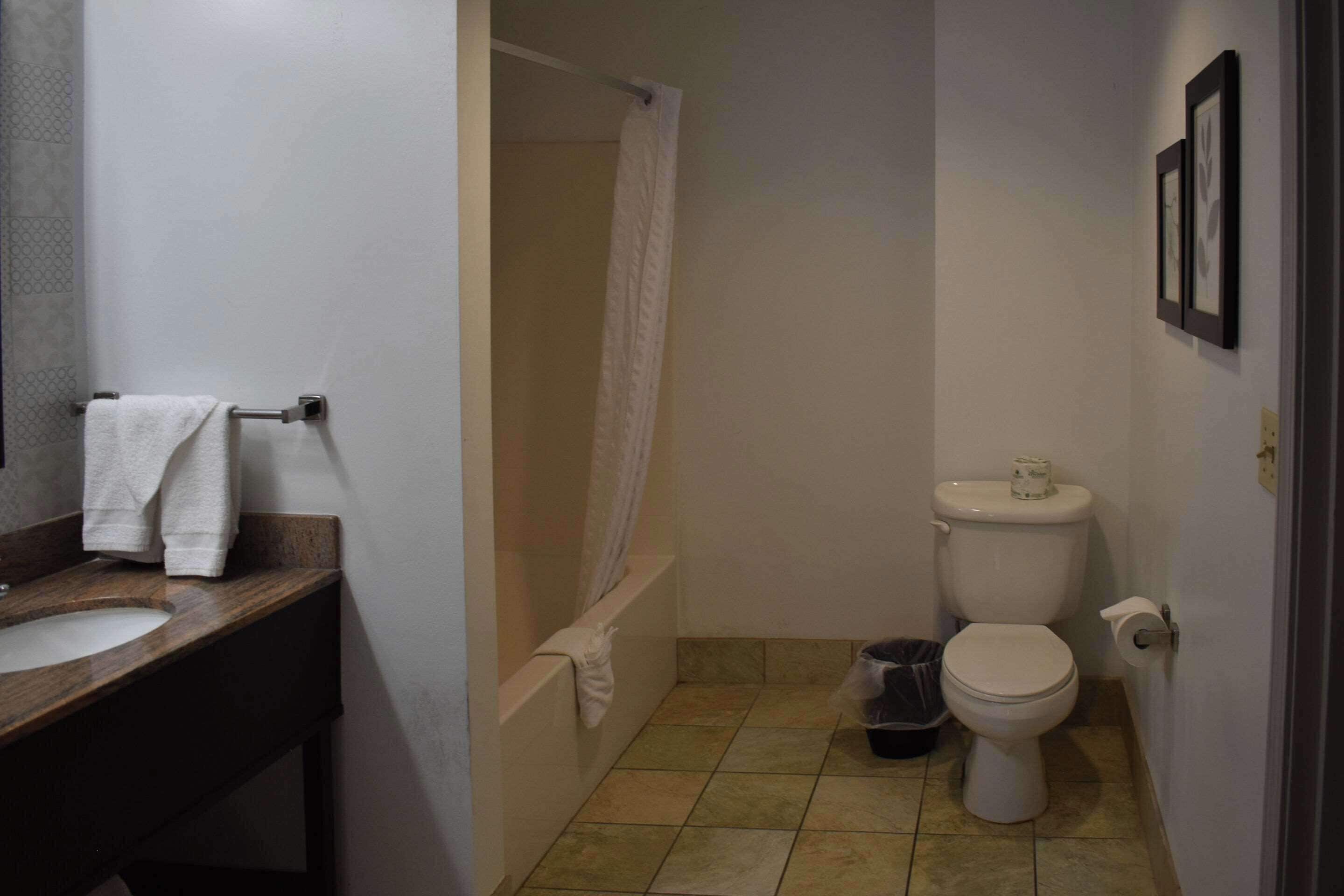A bathroom with a sink, toilet, and shower.
