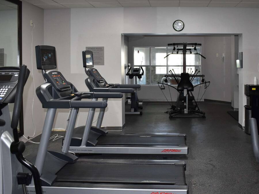A gym with treadmills, exercise bikes, and a rowing machine.