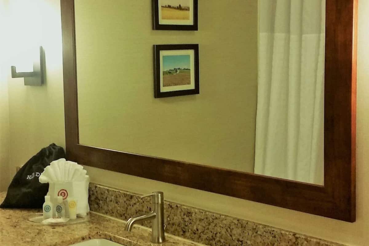 A bathroom with a large mirror, a sink, two framed pictures on the wall, and a shower curtain.