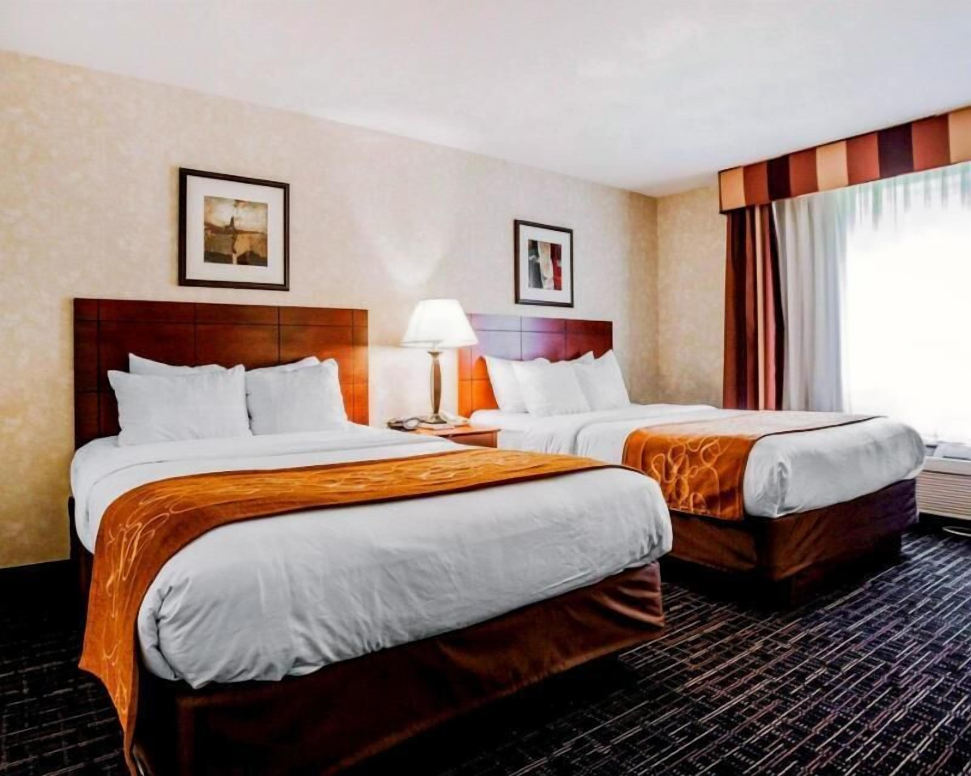 遮光布/窗簾、熨斗/熨衣板、免費無線上網、床單