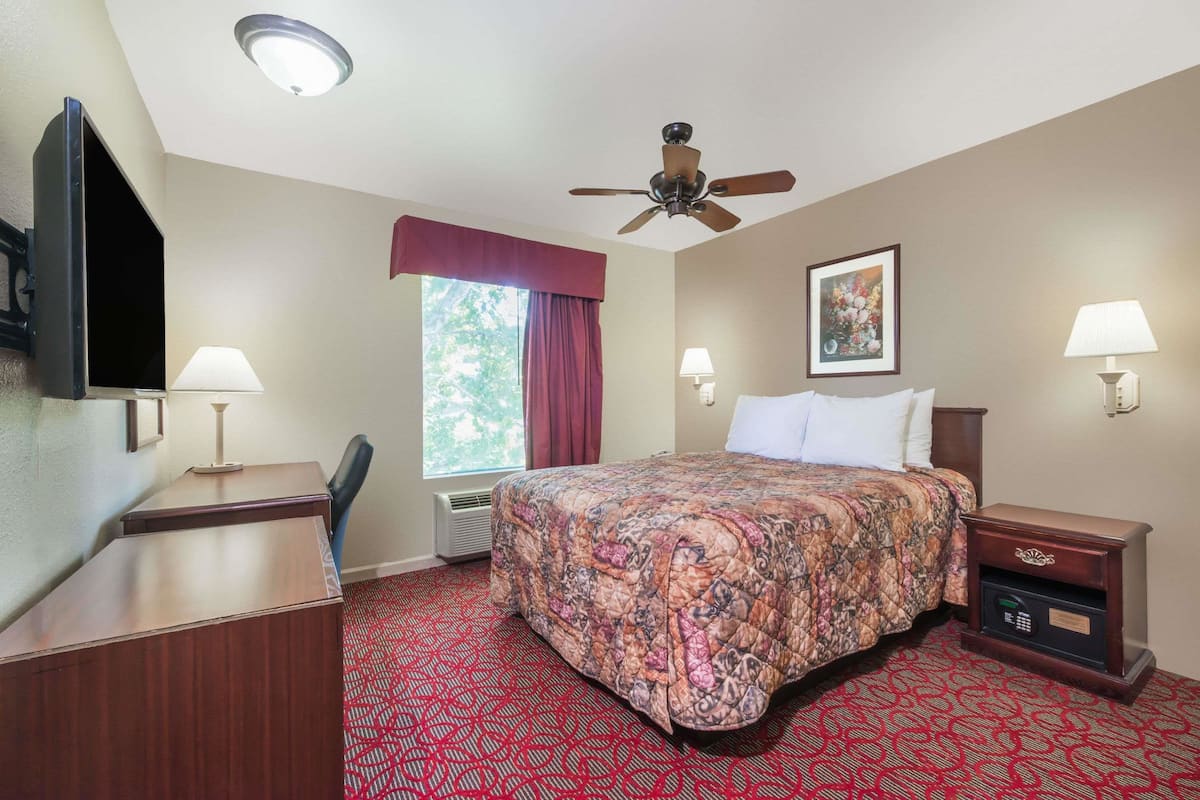 A hotel room with a bed, a desk, a chair, a television, a ceiling fan, a window with curtains, and a nightstand with a lamp.