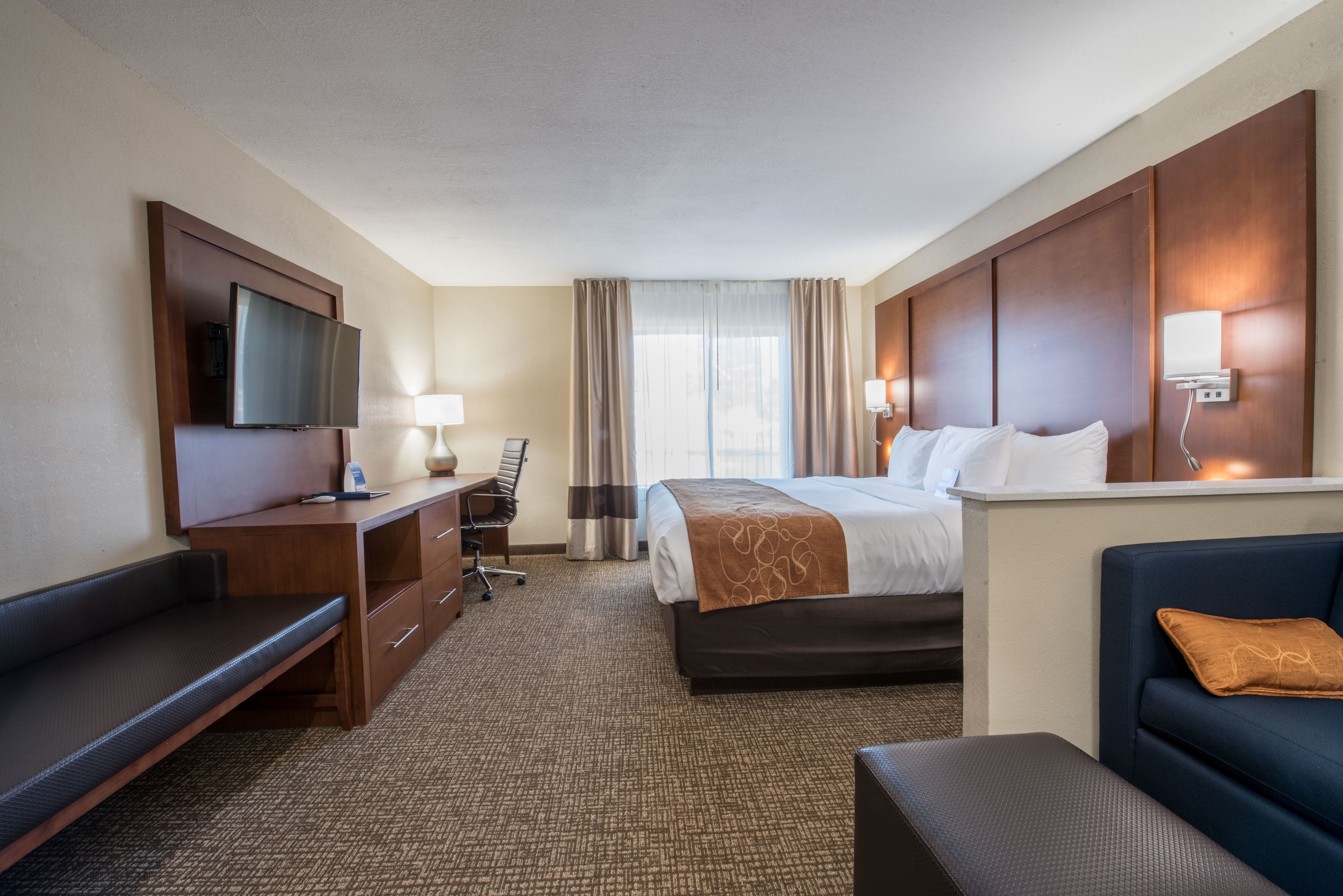 A hotel room with a bed, a desk, a TV, a sofa, and a window with curtains.