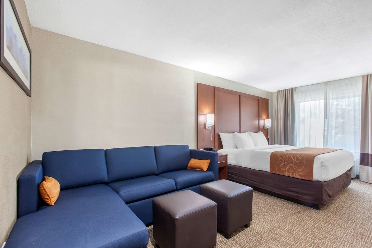 Una habitación de hotel con un sofá azul, una cama con colcha marrón y suelo alfombrado.