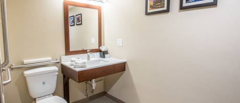 A bathroom with a toilet, sink, and mirror. There are two framed pictures on the wall.