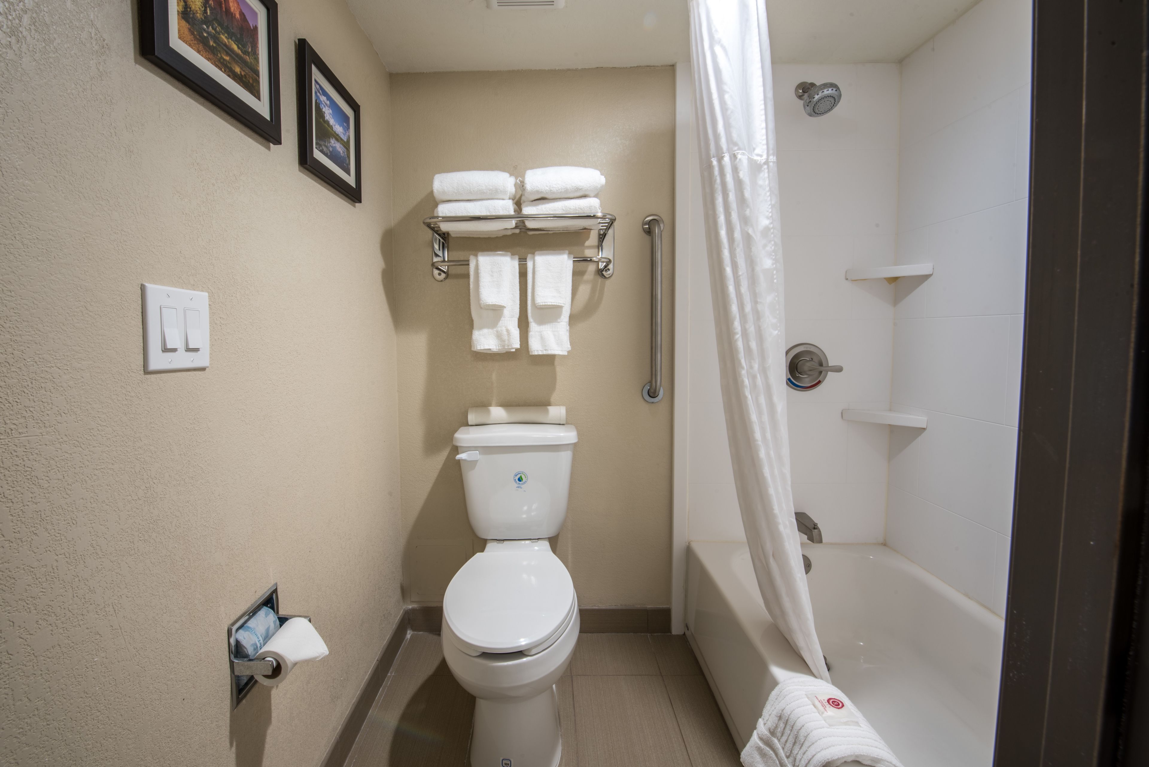 Un baño con inodoro, ducha con cortina, toallero con toallas y un cuadro en la pared.