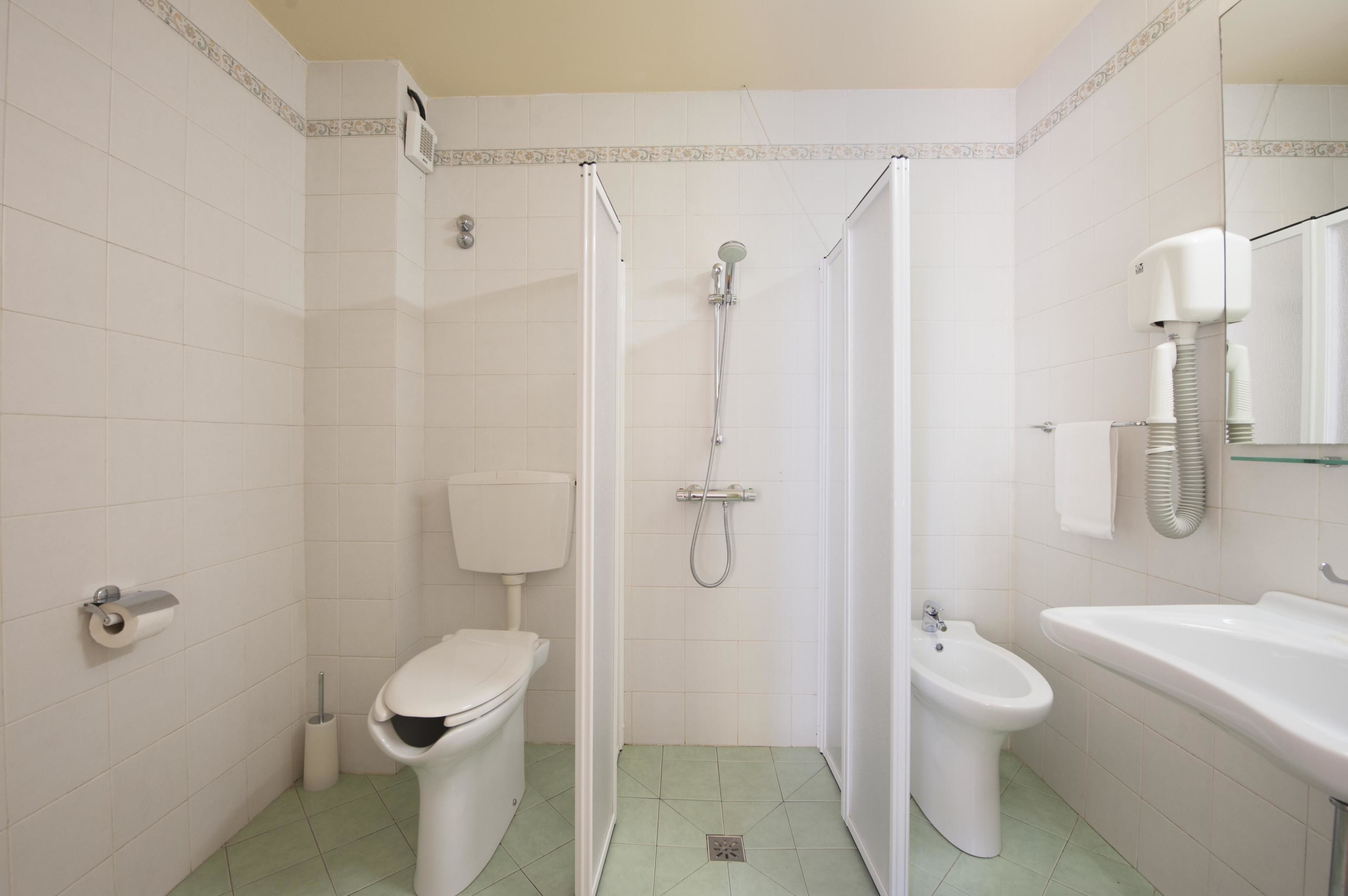 double room single use | bathroom | shower, free toiletries, hair dryer, bidet