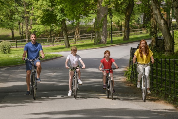 Quatro pessoas andando de bicicleta em um caminho pavimentado em um parque com árvores e uma cerca.