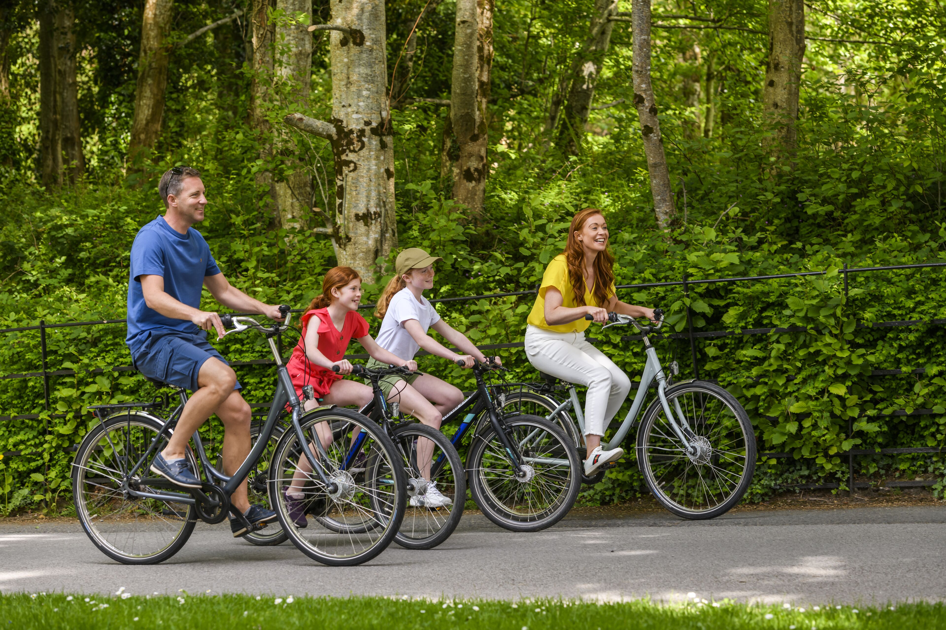 Four people riding bicycles on a paved path surrounded by lush greenery.