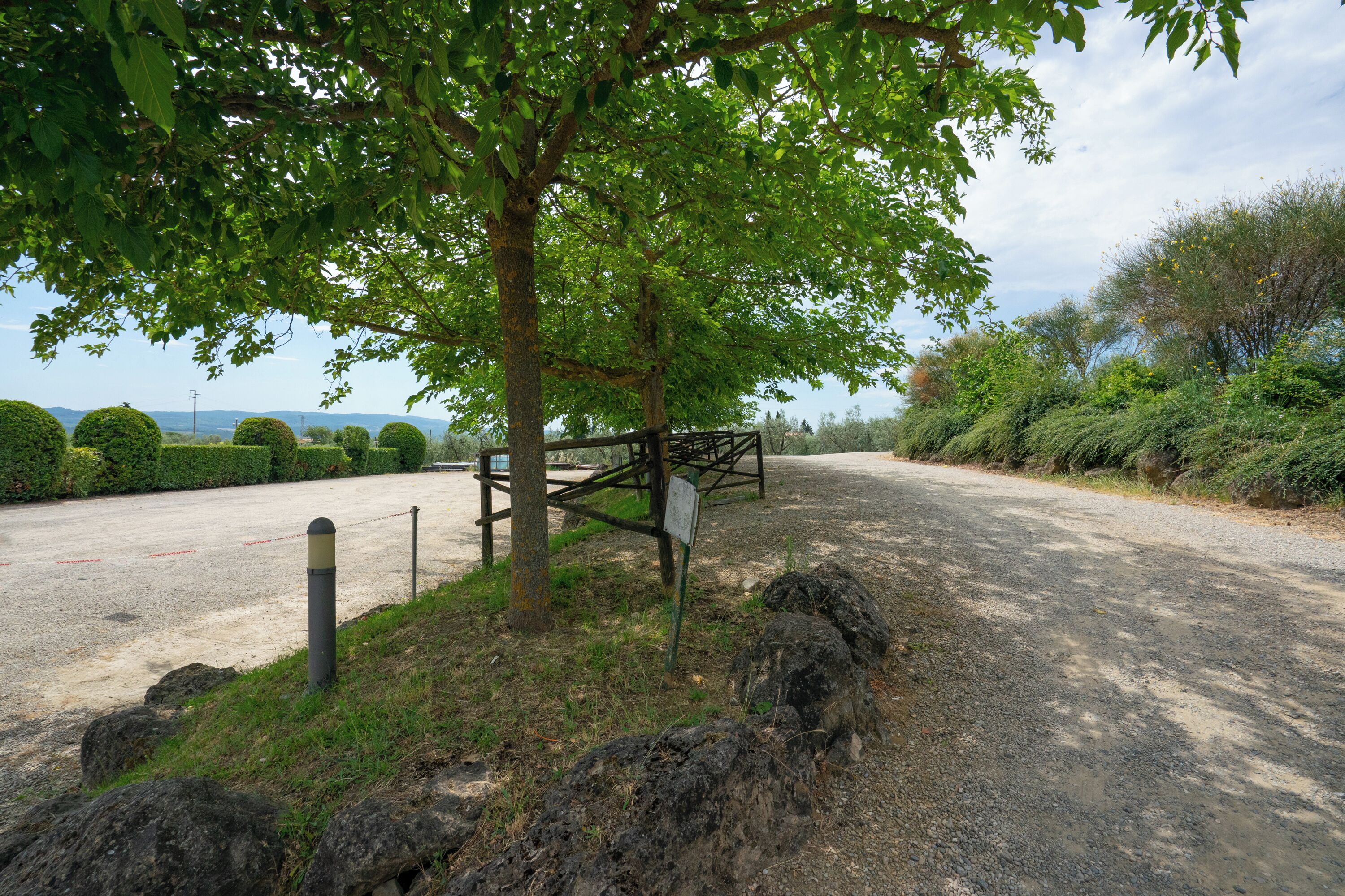 A paved road with a metal fence, a tree, and a signpost.
