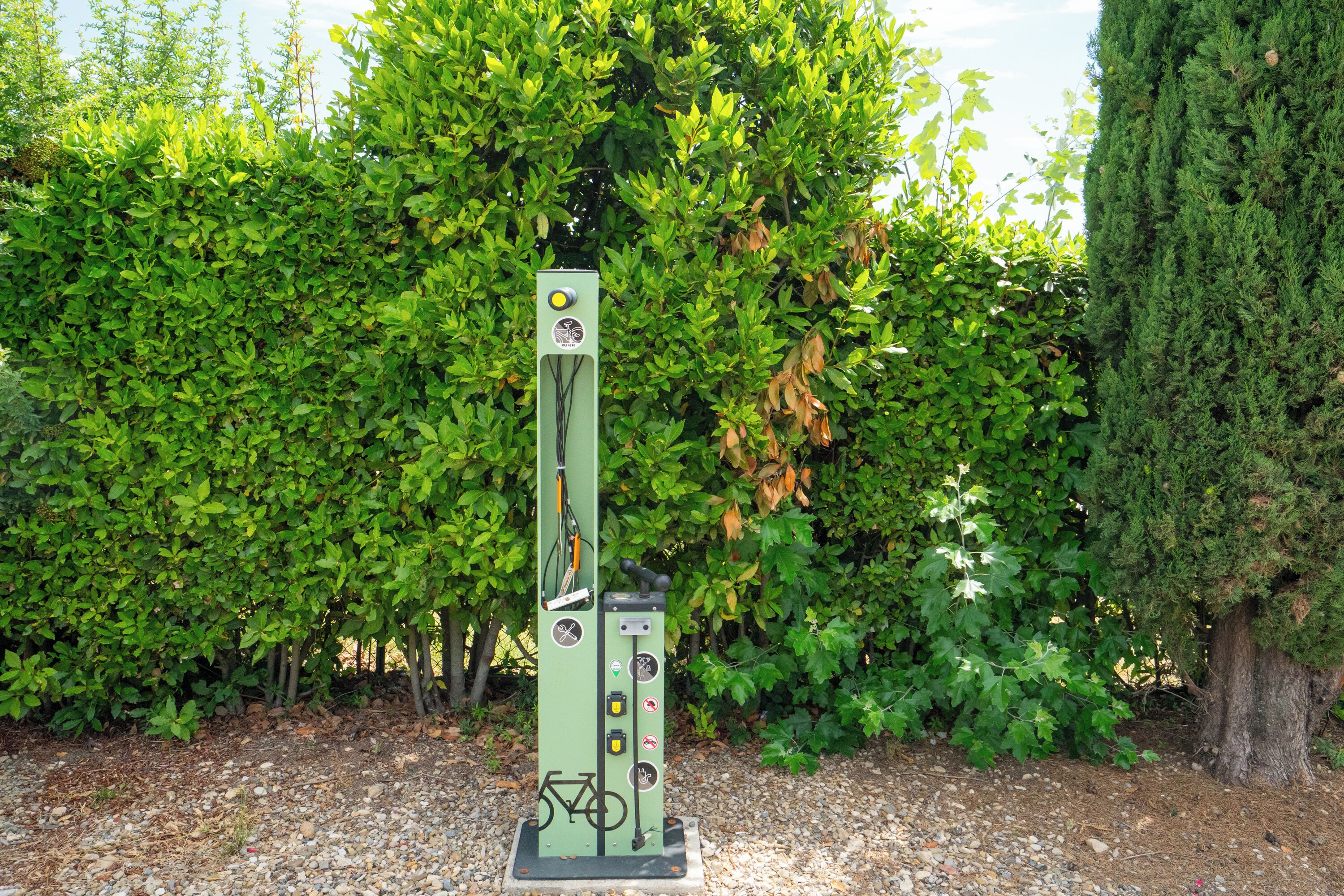 A green electric bike charging station with a bicycle symbol, surrounded by dense greenery.