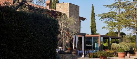A modern building with a stone facade, a glass conservatory, and a gravel pathway.