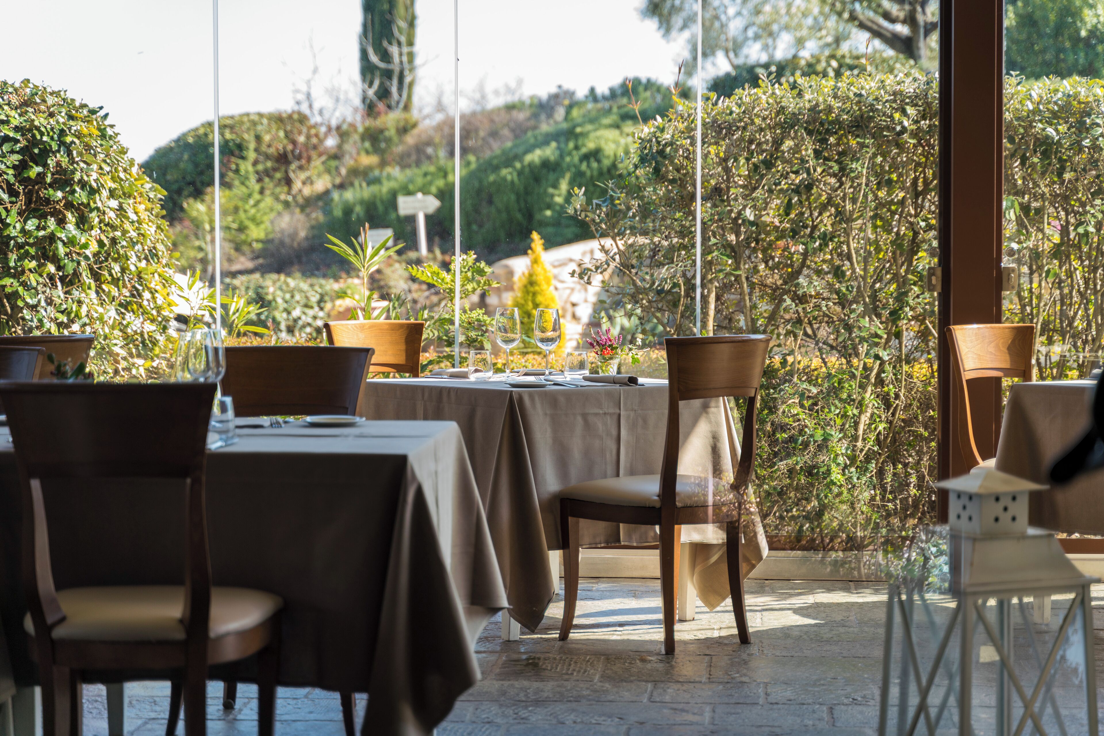 Un área de comedor al aire libre con mesas y sillas, rodeada de plantas en macetas y vistas a colinas.