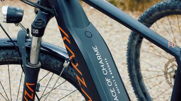 A close-up of a bicycle with the text "PLACE OF CHAMELIE" and "HOTELS & RESORTS" on the frame.