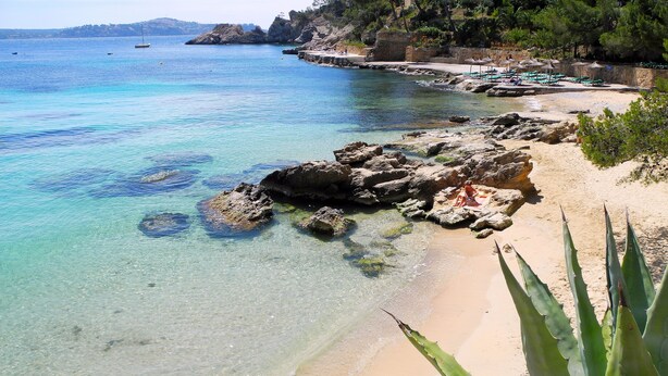 A coastal beach with clear turquoise waters, rocky formations, and a sandy shoreline. - Hotel Cala Fornells (Calvia)