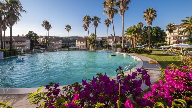 Piscina rodeada de palmeras y un jardín con flores moradas.