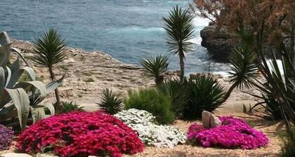 Apartamentos Parque Mar