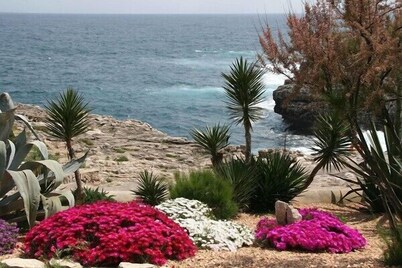 Apartamentos Parque Mar