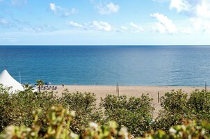 Vista desde la propiedad