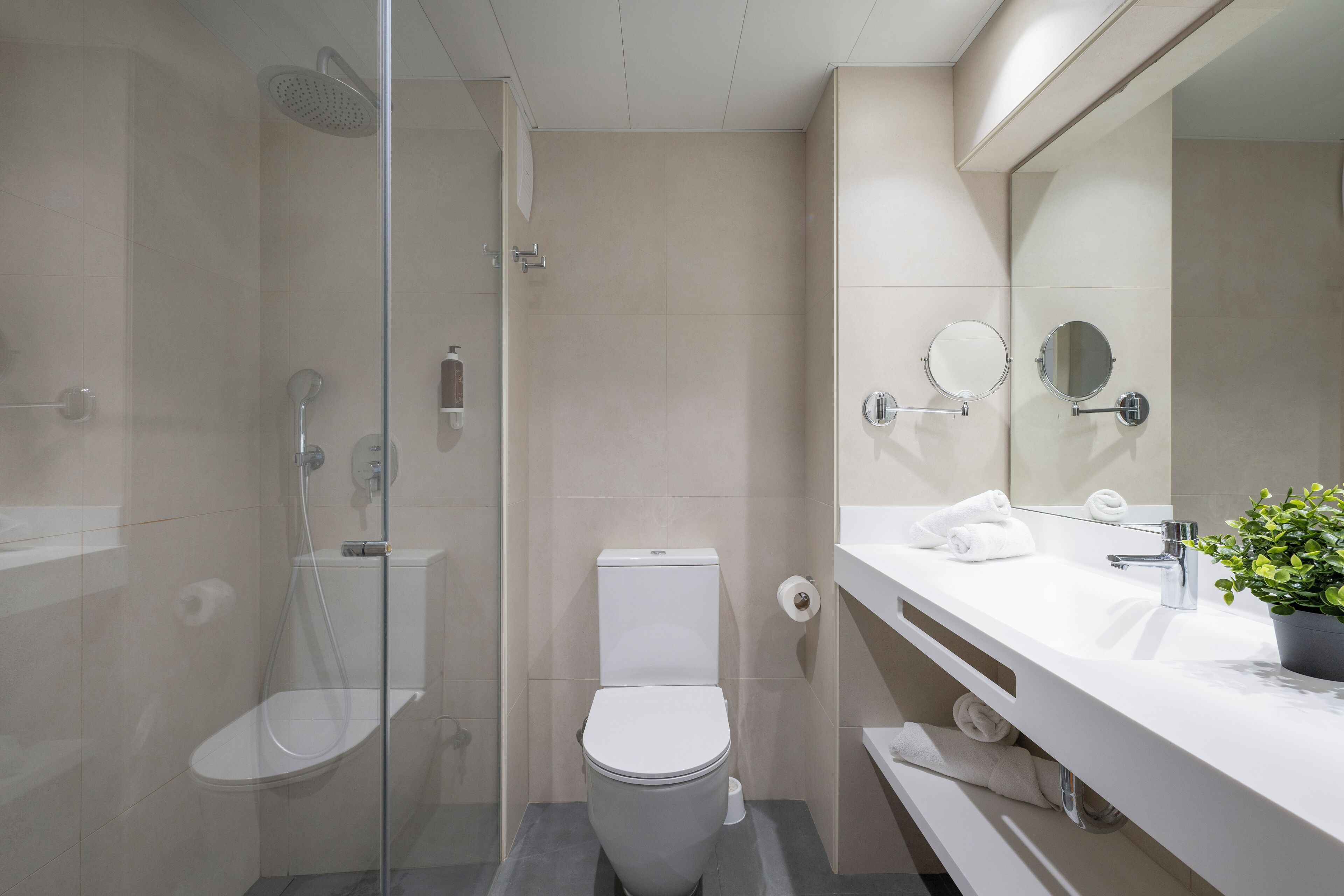 A modern bathroom with a glass-enclosed shower, a toilet, a sink with a mirror, and a potted plant.