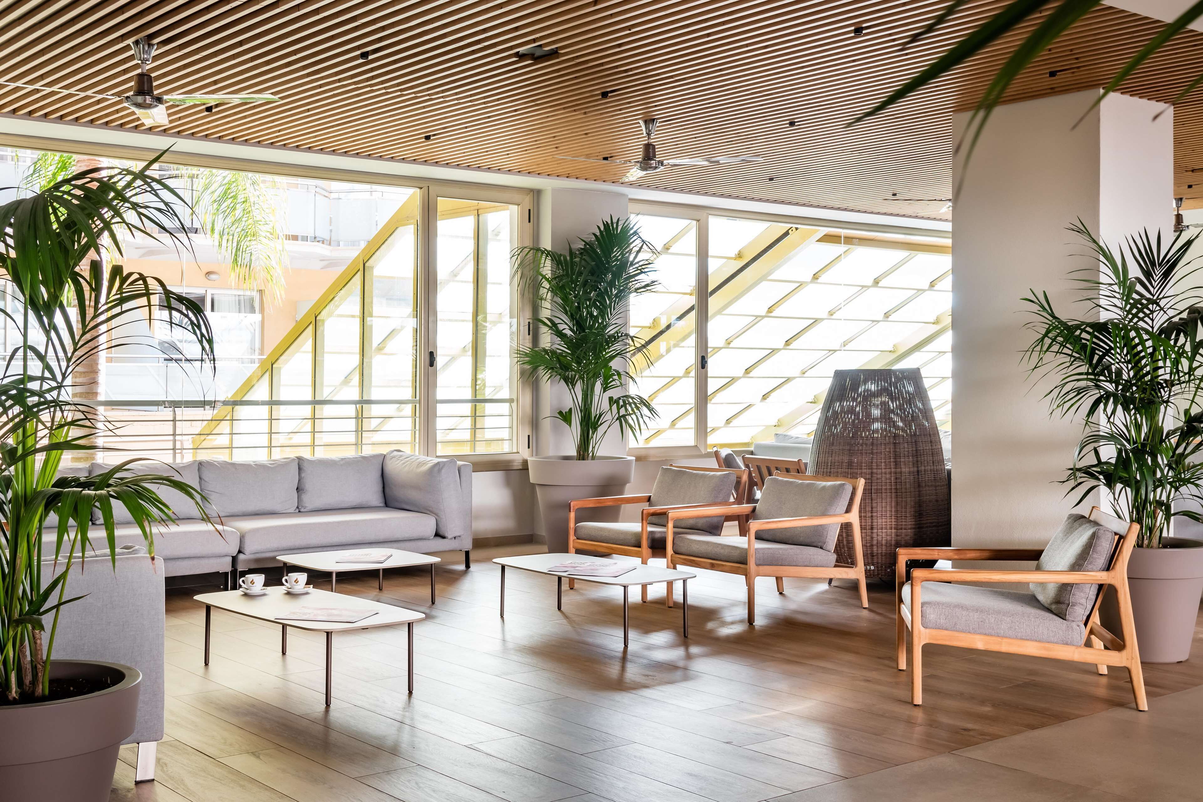 Photo - ALEGRIA Florida