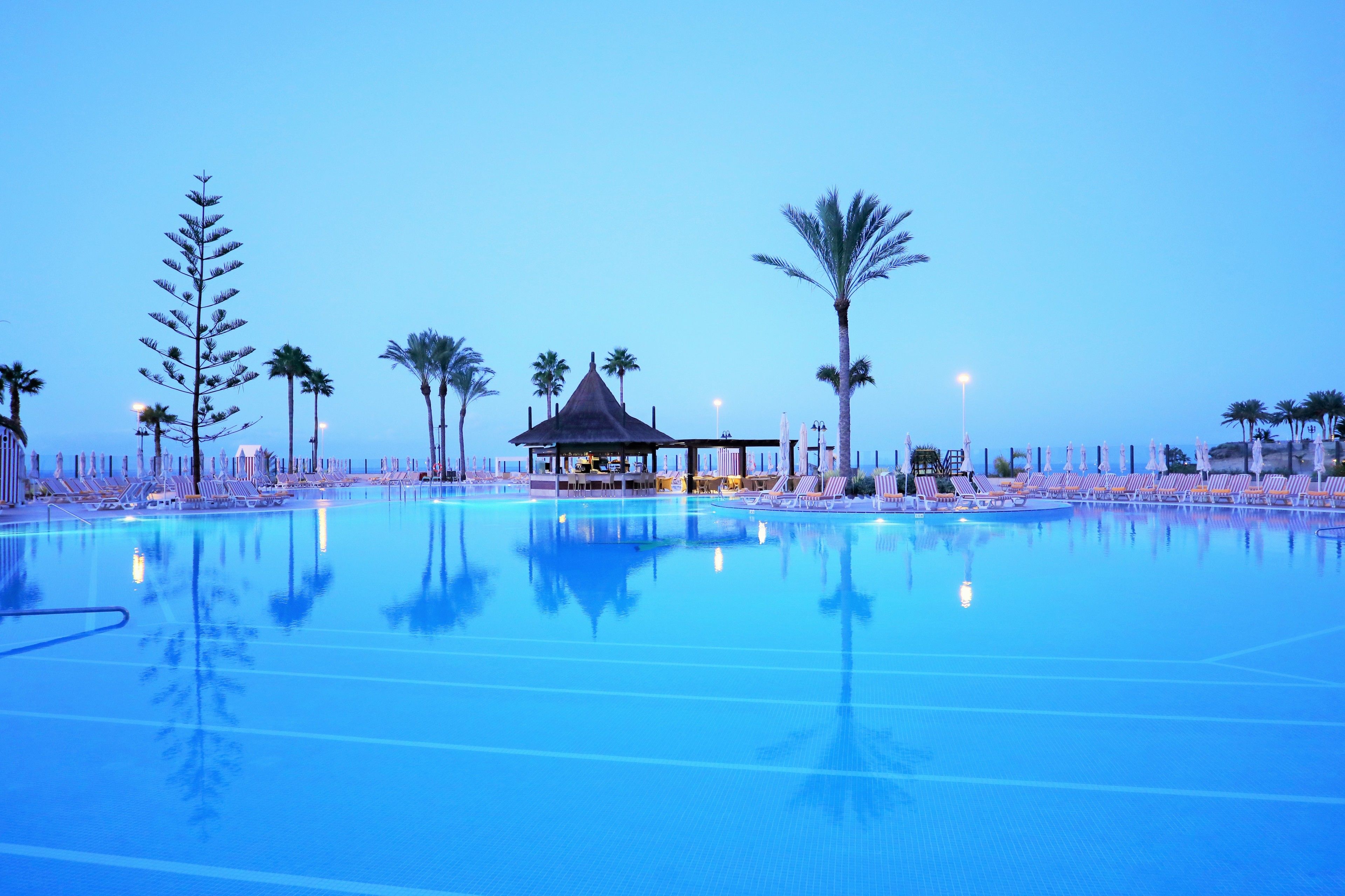 A large swimming pool with lounge chairs and palm trees.