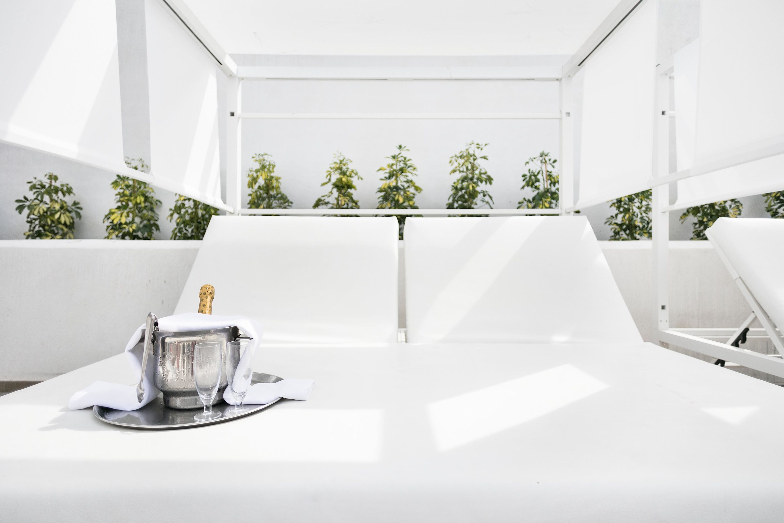 Una habitación moderna y minimalista con una mesa blanca, una botella de champán y copas, rodeada de plantas en macetas.