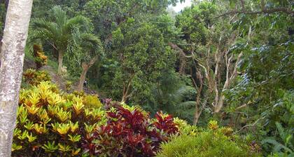 Teresinajamaica