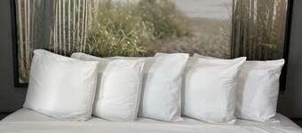  Valued Stay Mayflower