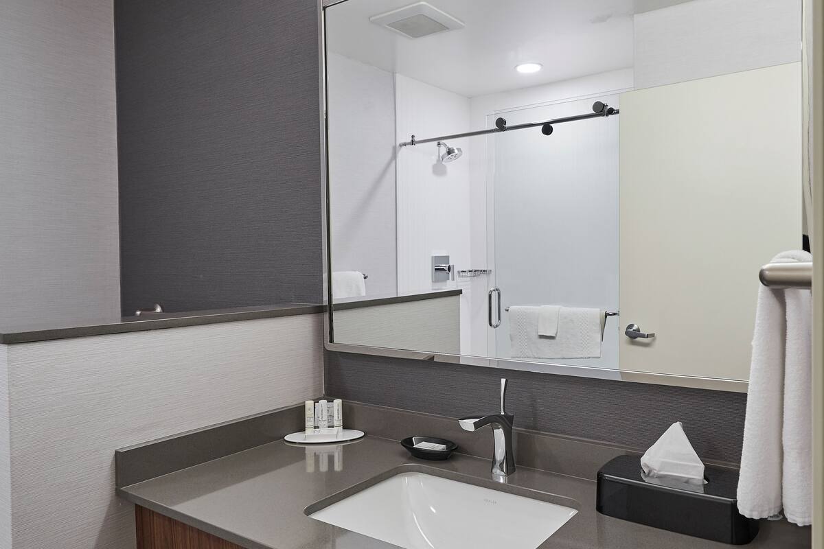 room, 1 king bed with sofa bed, non smoking (hearing accessible) | bathroom | combined shower/bathtub, free toiletries, hair dryer, towels