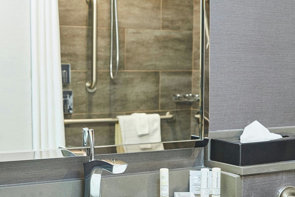 combined shower/bathtub, free toiletries, hair dryer, towels