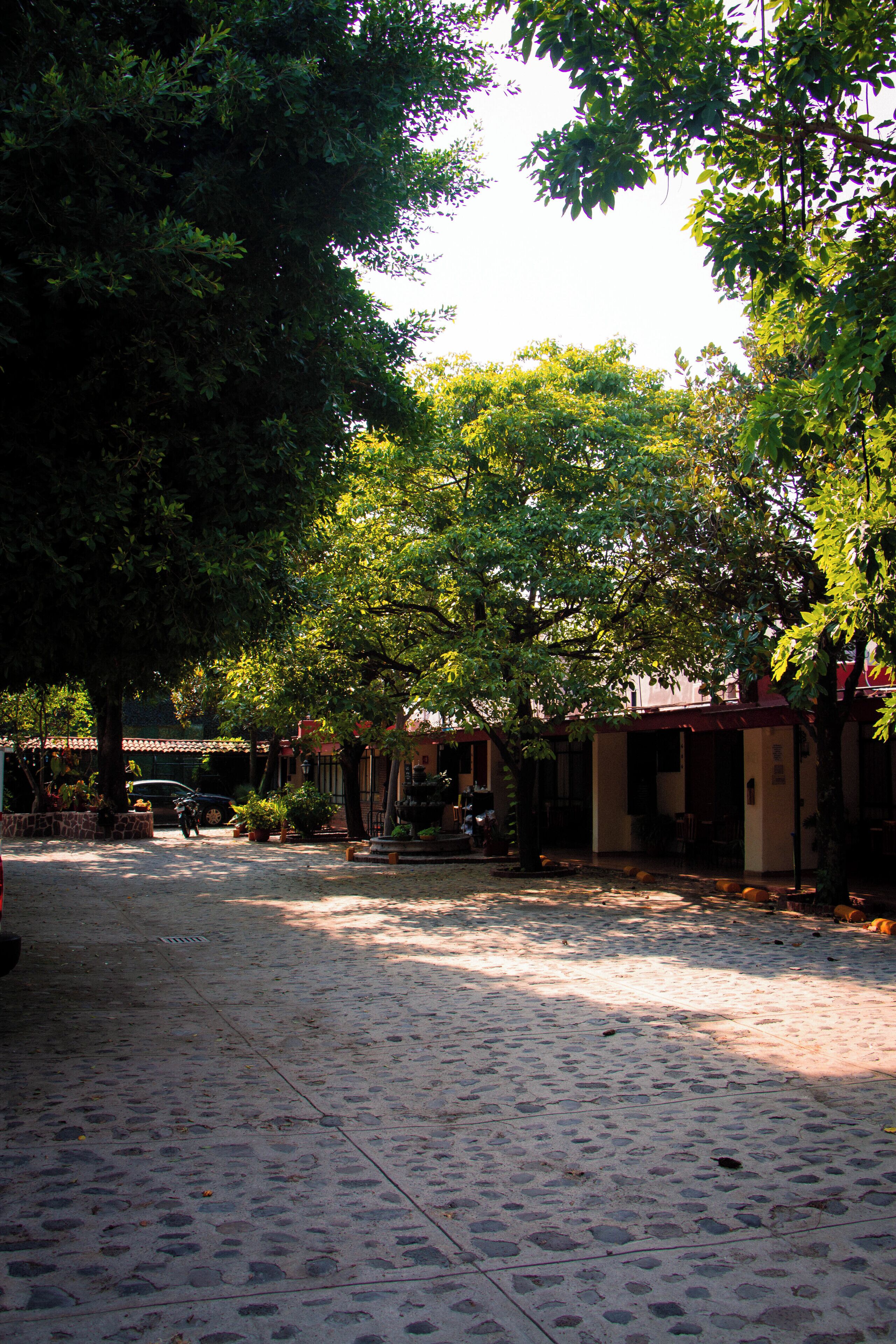 Photo - Hotel Isabel