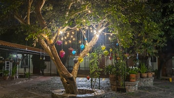 Jardín
