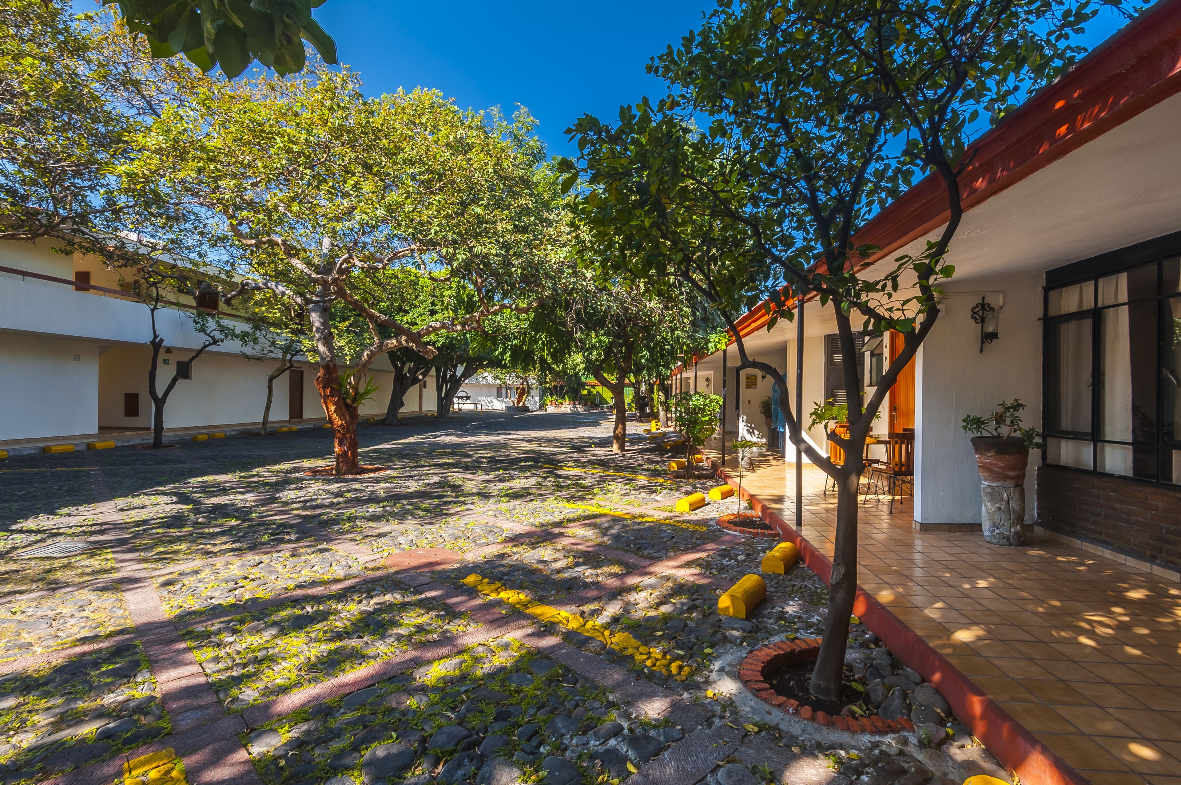 A courtyard with trees, a tiled floor, and a building with a red roof.