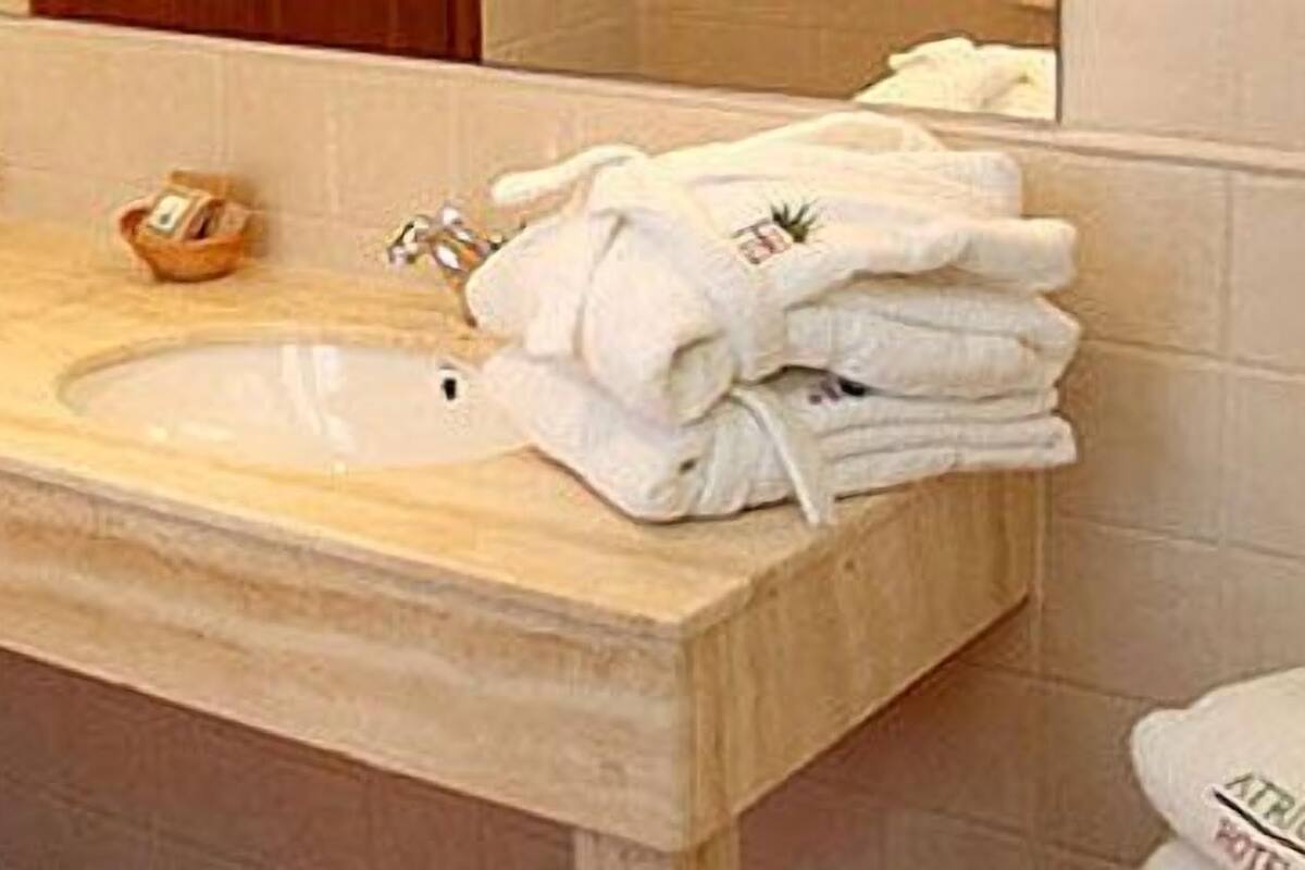 superior double room | bathroom amenities | combined shower/bathtub, free toiletries, hair dryer, bidet