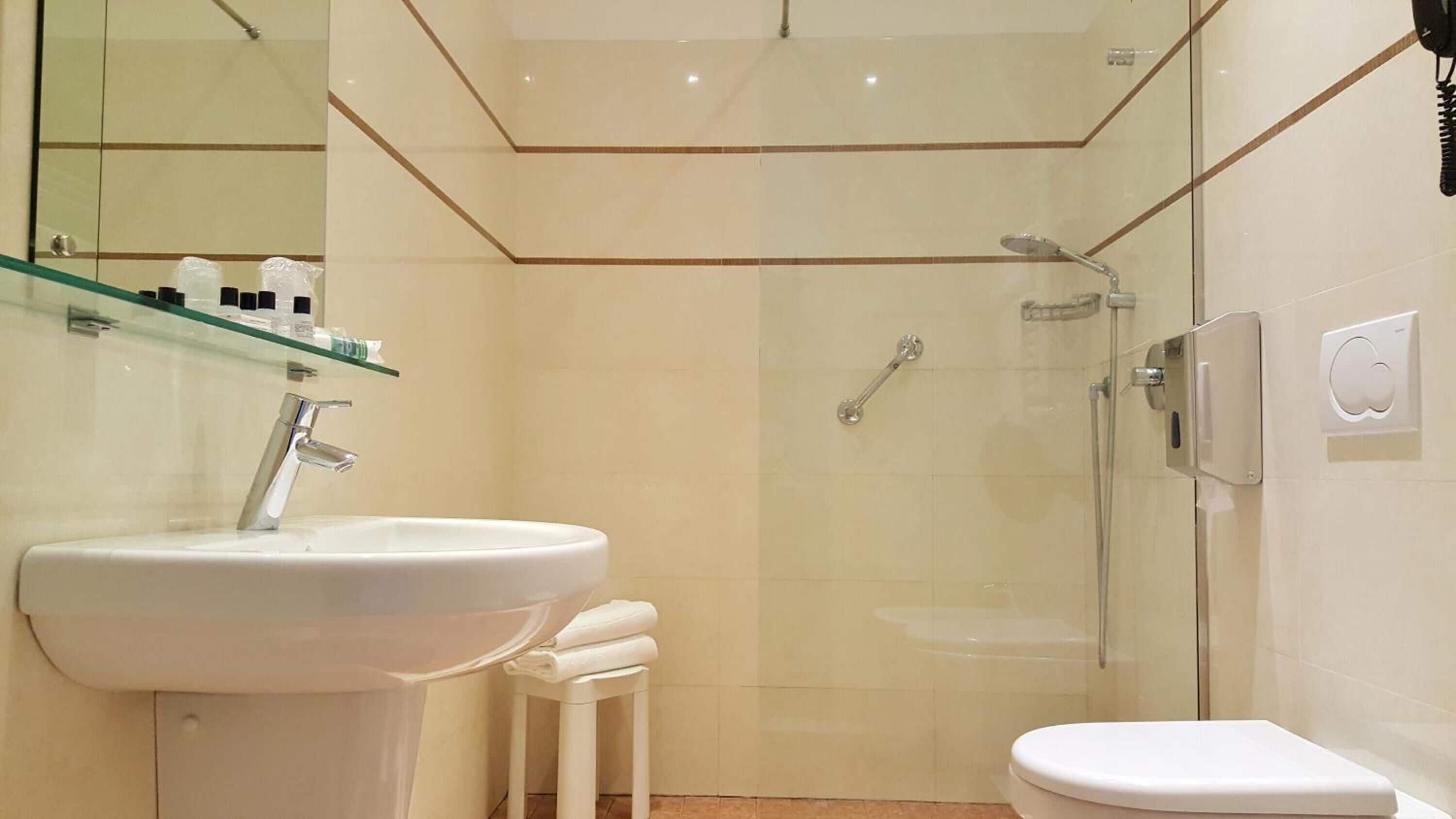 shower, free toiletries, hair dryer, bidet
