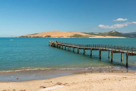 Vista desde la propiedad