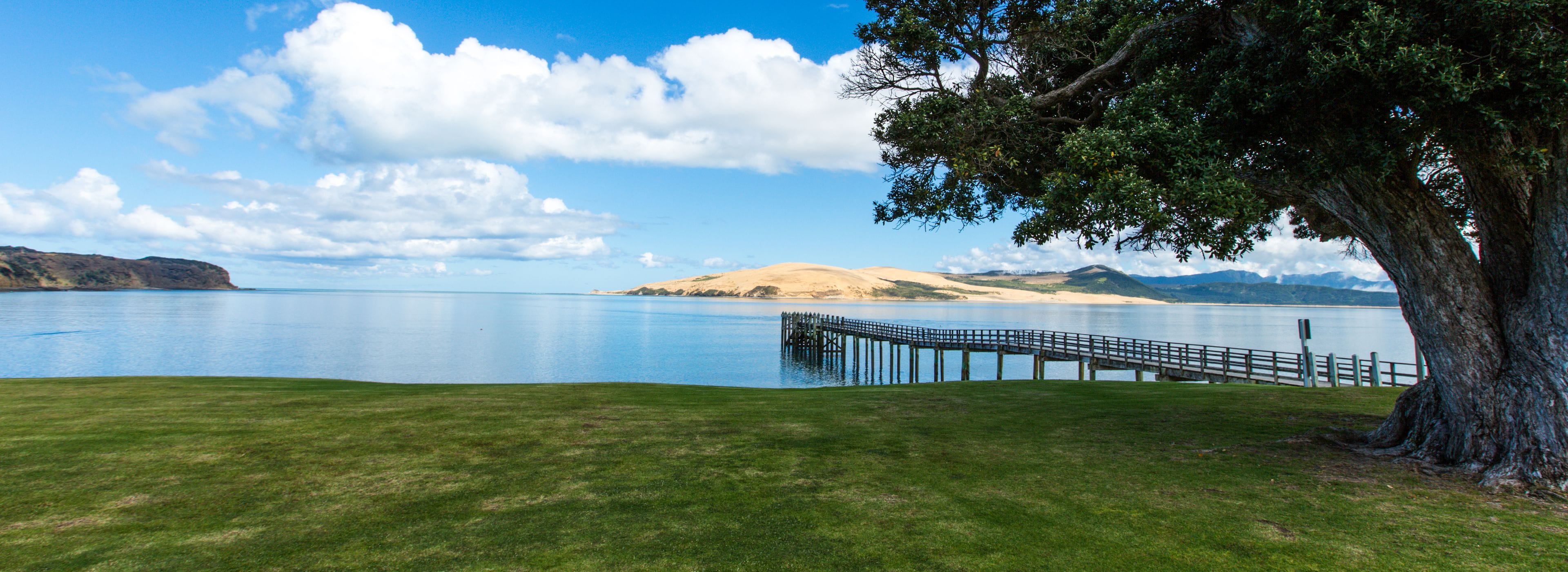 A serene lakeside view with a wooden pier extending into the water, surrounded by lush greenery and a large tree.