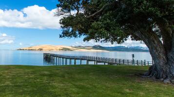 A serene lakeside view with a wooden pier extending into the water, surrounded by lush greenery and a large tree.