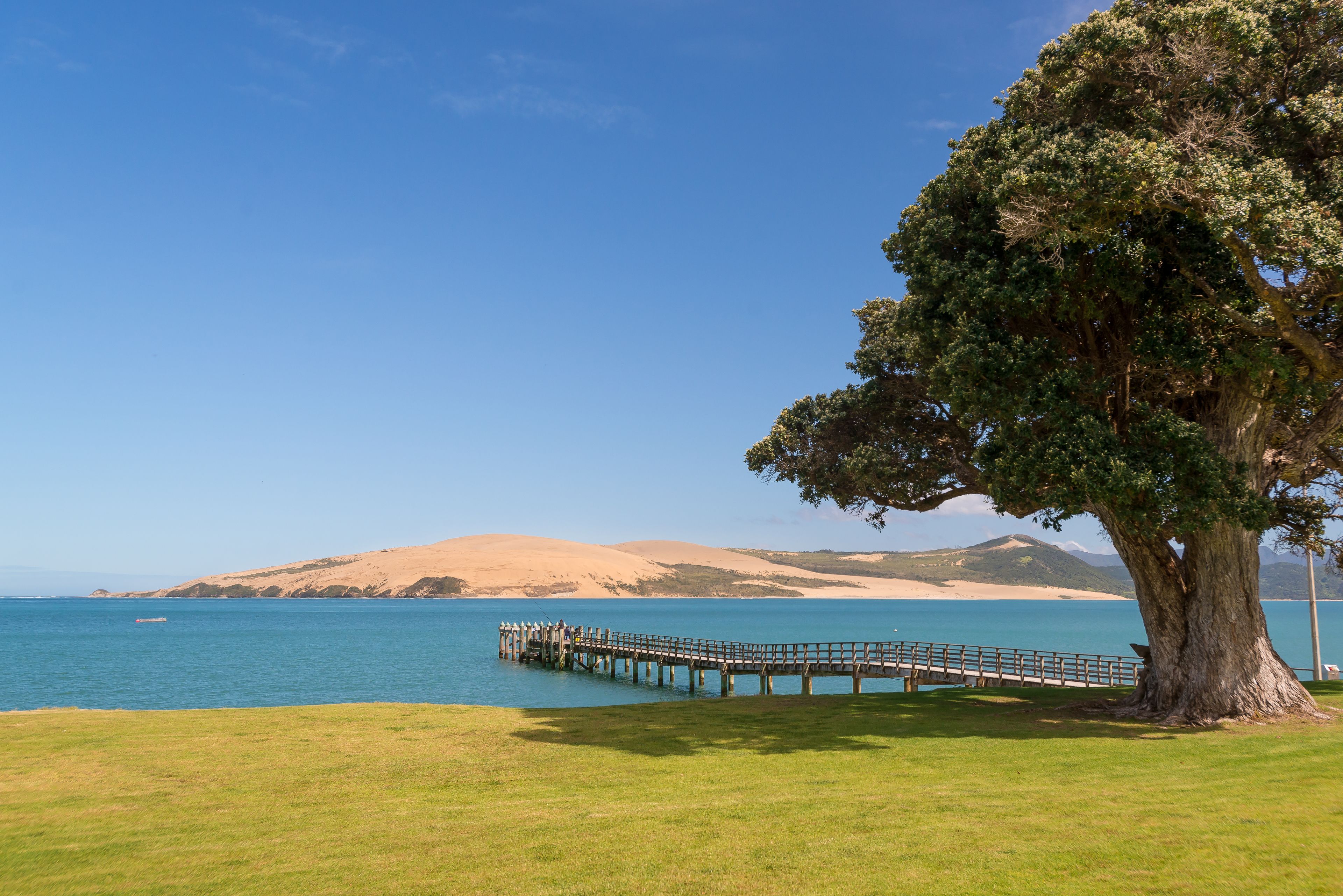 A coastal landscape with a wooden pier extending into a calm sea, a large tree on the right, and sandy dunes in the background.