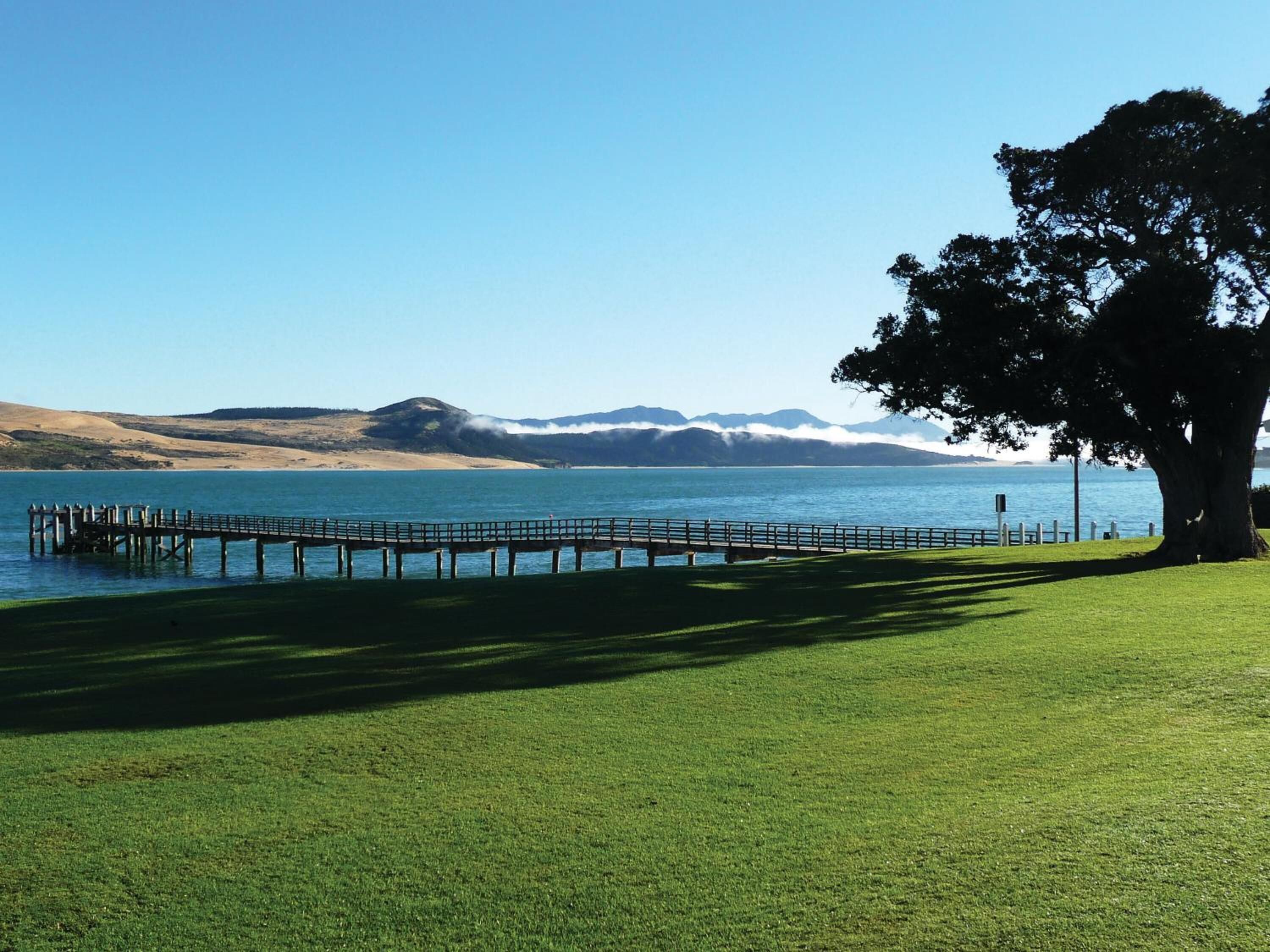 A grassy area with a dock extending into a lake, surrounded by hills and a large tree.